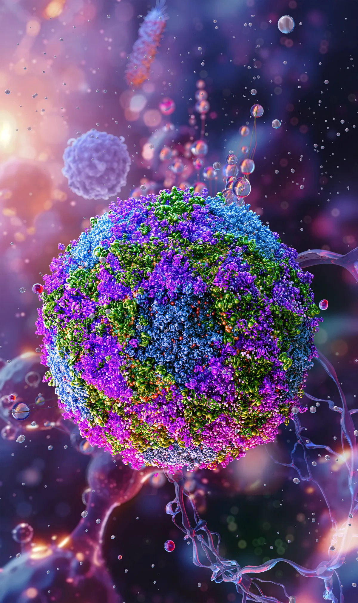 poliovírus, illustration. Poliovirus is a small, non-enveloped, positive-sense RNA (ribonucleic acid) virus that causes poliomyelitis, a contagious viral disease affecting the nervous system. (Photo by RUSLANAS BARANAUSKAS/SCIENCE PHO / RBU / Science Photo Library via AFP)