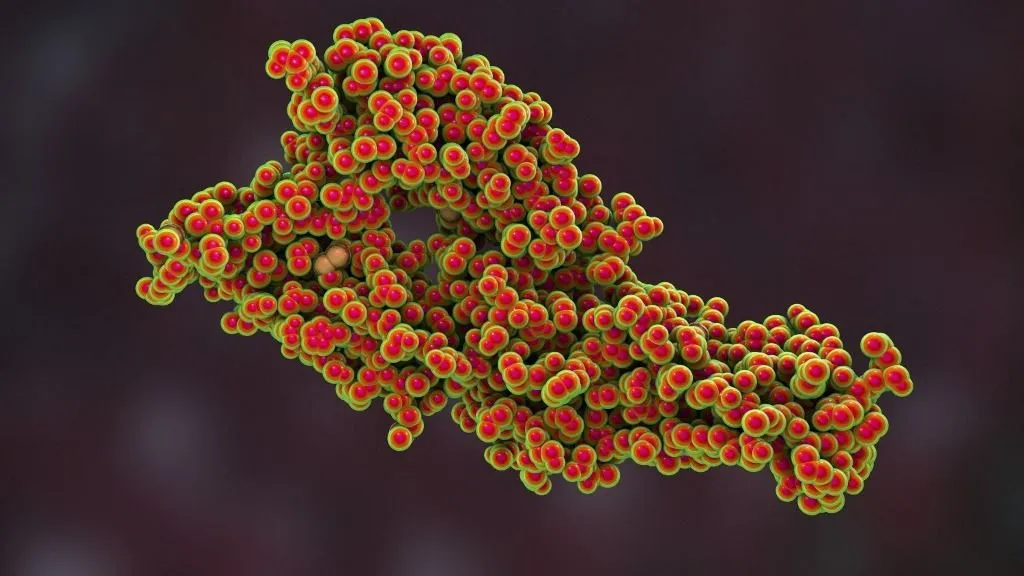 Hantavirus (Hantaan virus) membrane fusion glycoprotein Gc, asymmetric unit, computer illustration. The surface molecule which is responsible for virus entry into the cell. (Photo by KATERYNA KON/SCIENCE PHOTO LIBRA / KKO / Science Photo Library via AFP)