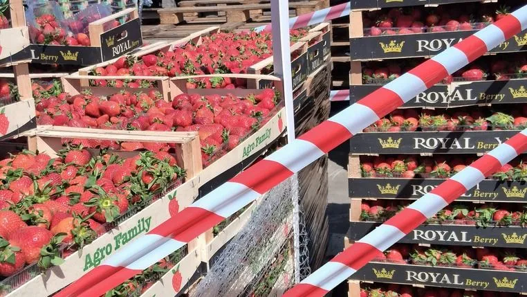 Illegális gyümölcsárusokra csapott le az NKFH, több mint 2,5 tonna árut vontak be - az NKFH által a tájékoztatás részeként közreadott kép