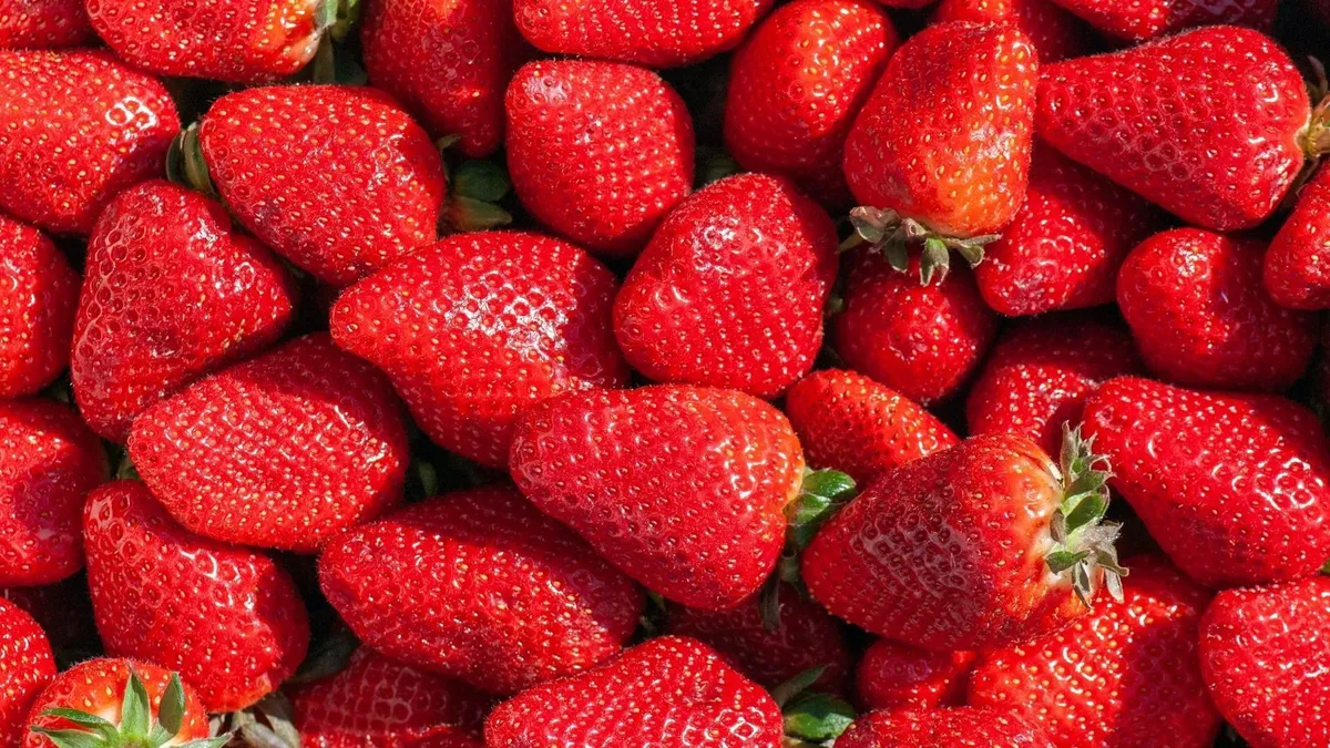 Az eper népszerű gyümölcs, amely kevés cukor mellett vitamin, rostok és más tápanyag révén is támogatja a szervezet működését.