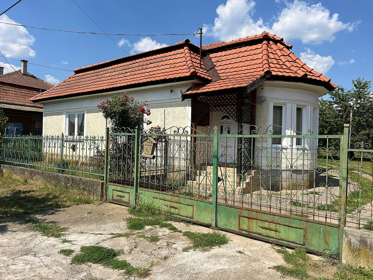 Gönc, kannibál, riport