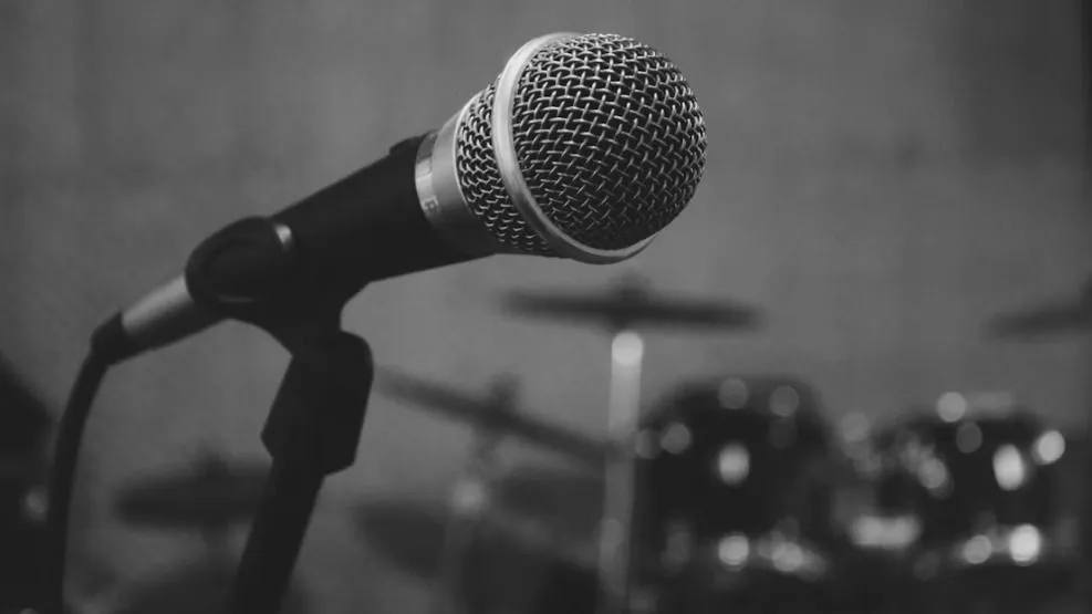 énekesnő, The Voice