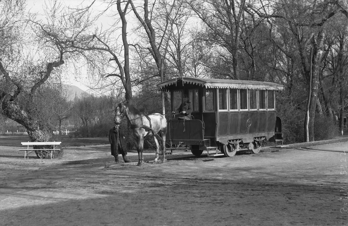 Lóvasút a Margit-szigeten, 1905-ben. Ekkorra már eltűntek a fővárosból a korábban oly népszerű lóhajtotta járművek
