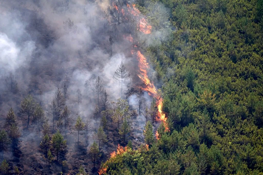 LEON, SPAIN - JULY 08: Flames and smoke rise from a wildfire that broke out the previous day in Espina de Tremor, reached level 1 on the Potential Severity Index (IGR-1) and threatened more than 30 hectares of pine forest in Leon, Spain, on July 8, 2026. Samuel de Roman / Anadolu (Photo by Samuel de Roman / Anadolu via AFP), spanyolországi erdőtűz
