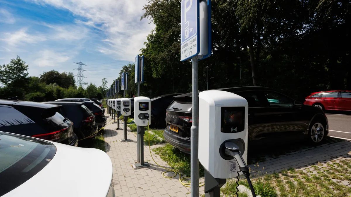 Ha a pénztárcájukban fáj, az elektromos autók használói önként alkalmazkodnak az elvárásokhoz.