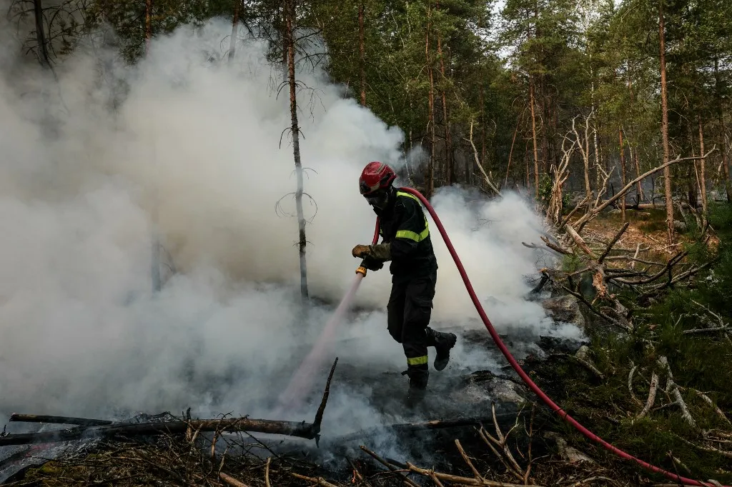 A firefighter operates during a fire in the Fontainebleau Forest, in Noisy-sur-Ecole, in the Paris' Ile-de-France region on July 14, 2026. The fires that have been raging since July 12, 2026 afternoon in the Fontainebleau forest had spread across more than 1,900 hectares by July 14, 2026 morning, according to the Seine-et-Marne fire service, which hopes the fire will be brought under control later today. (Photo by Dimitar DILKOFF / AFP)