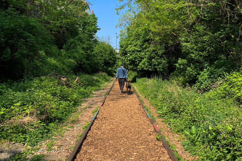 Vadvirágos vasútvonal Párizs körül (La Petite Ceinture, Franciaország)
