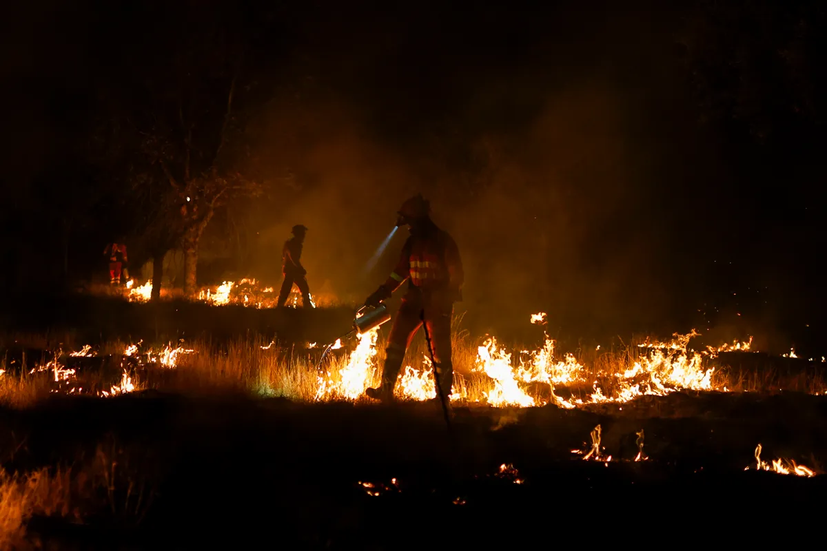 CEBREROS, SPAIN - JULY 28: Members of the Emergency Military Unit (UME) utilize controlled burns to halt the spread of wildfires in the Madrid border region on July 28, 2026 in Cebreros, in Ávila province, Spain. The wildfires that have raged west of Madrid have forced the evacuation of at least 105,000 people and burnt over 77,000 hectares, across the Madrid, Avila and Toledo regions, according to Spanish authorities. (Photo by Pablo Blazquez Dominguez/Getty Images)
