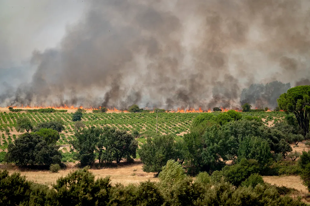 The Fire Is Making Little Headway At Night And Its Intensity Is Decreasing, But The Wind Is Expected To Pick Up This Morning