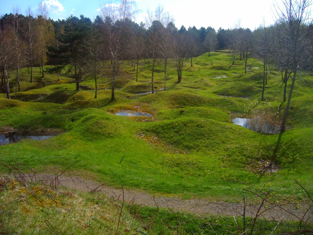 Bombatölcsérekből nőtt új erdő (Verdun, Franciaország)