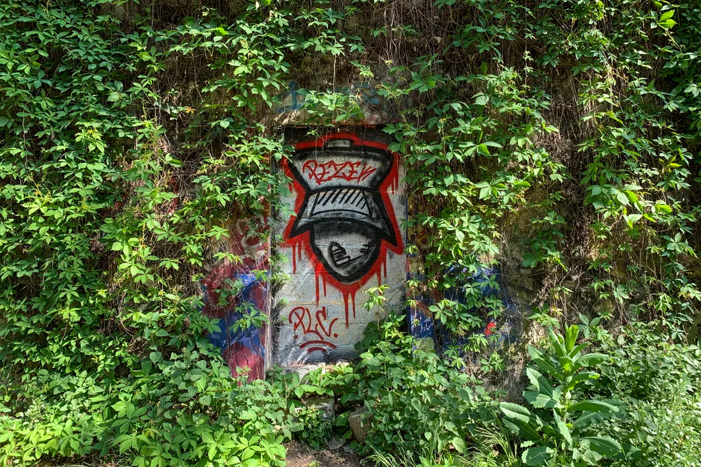 Vadvirágos vasútvonal Párizs körül (La Petite Ceinture, Franciaország)
