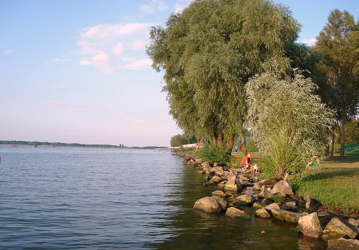A Tisza-tó partja apukáva és gyerekével.