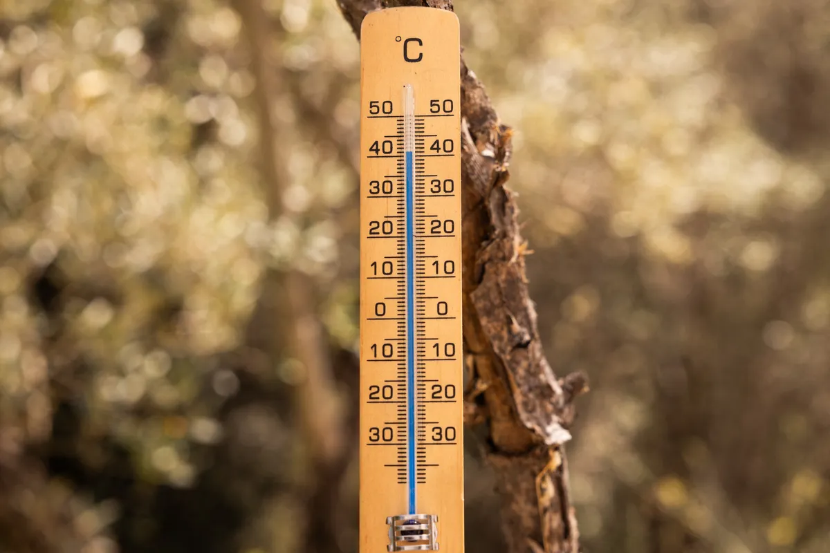 El Niño