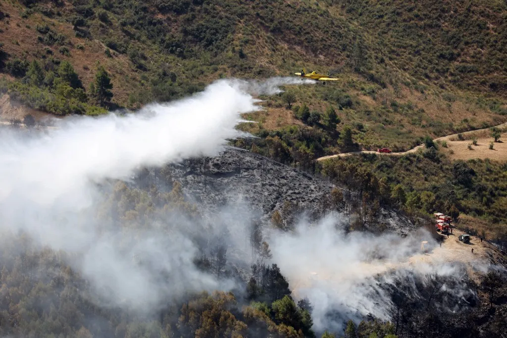 Civil protection personnel extinguish mountain fires in Bejaia, Algeria, on July 15, 2026. According to the civil protection report, the fires are under control. (Photo by APP/NurPhoto) (Photo by APP / NurPhoto via AFP)
