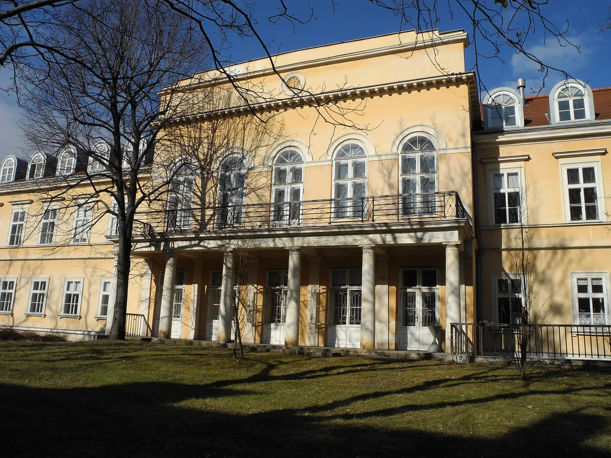 elmegyógyintézetek