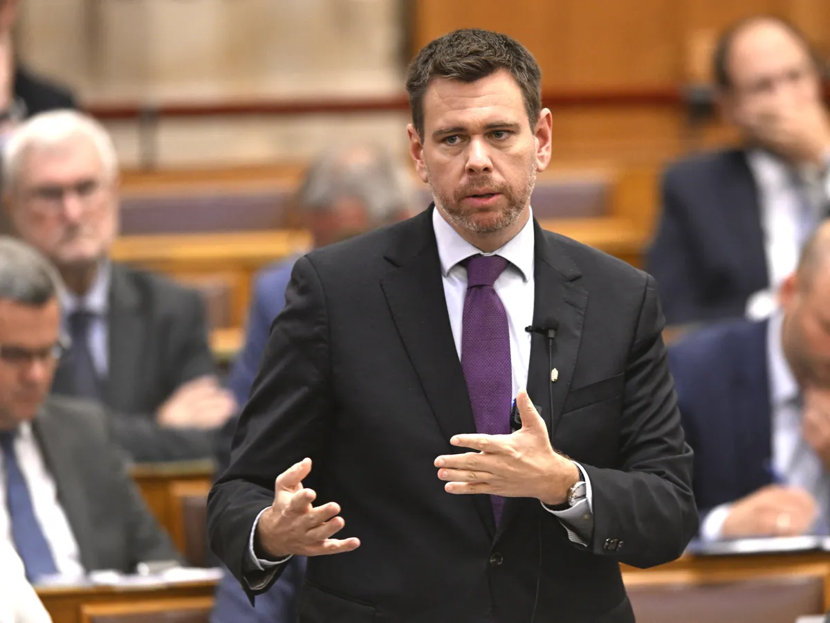 Vitézy az egyesület szerint bosszúból döntött a projekt törlése mellett, a hétvégén pedig szemmel látható volt az eredmény