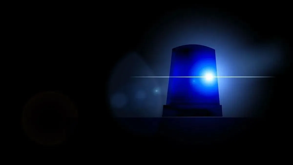 Bombaszállítással vádolják a 25 éves joghallgatót Írországban