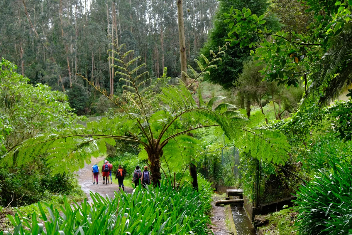 A madeirai Levada do Rei ösvényén túrázó emberek.
