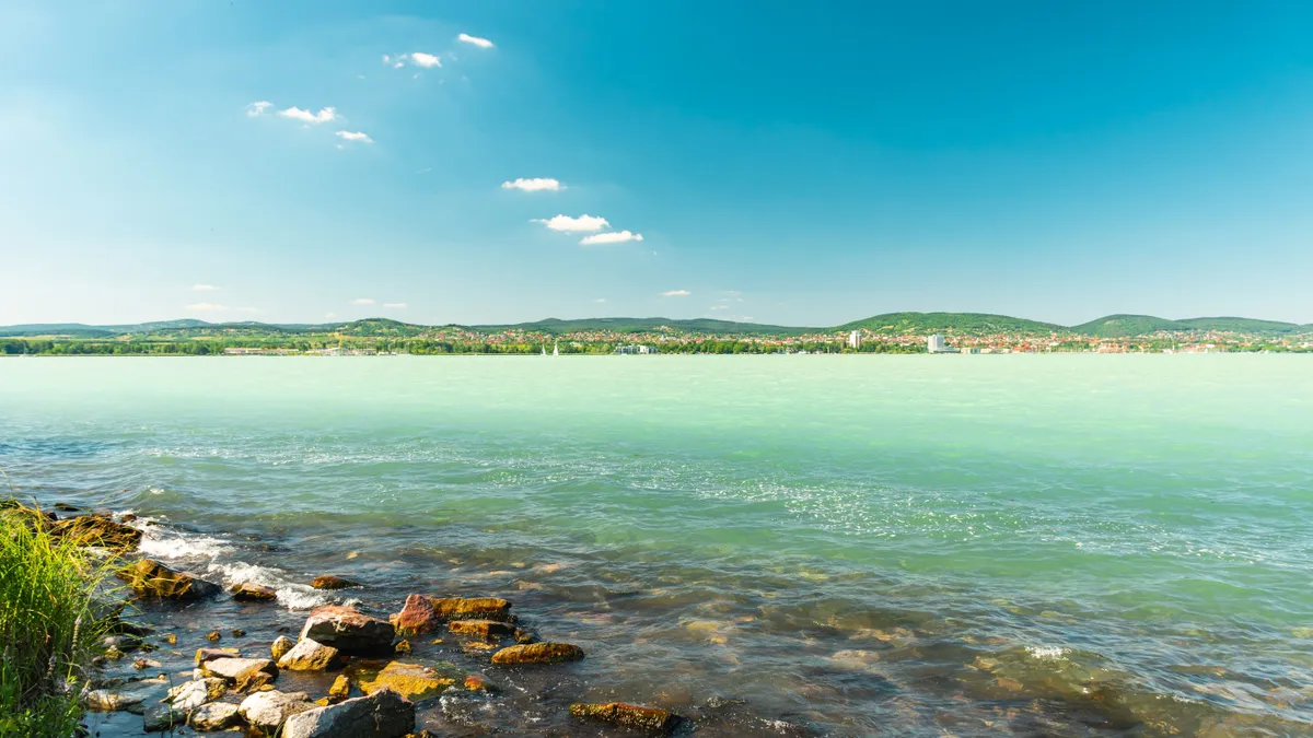 Balaton-part balatoni halakkal