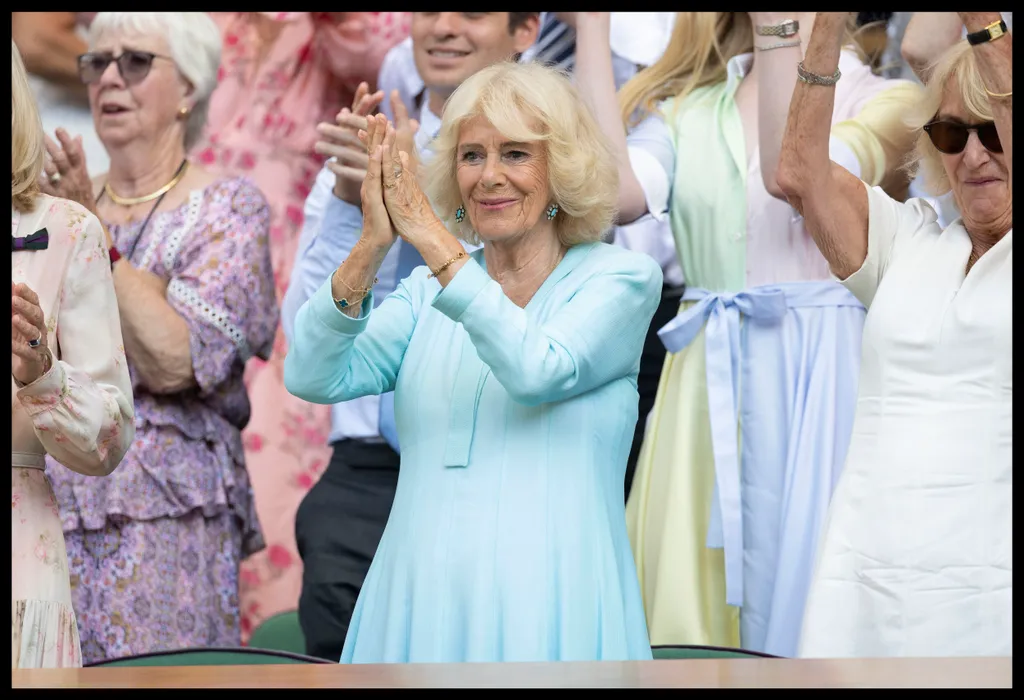 Wimbledon Tennis Championships-Day Ten