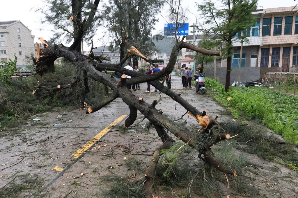 A Bavi tájfun pusztításának nyomai Wenling városában People look at damage from Typhoon Bavi in Wenling, in Chinas eastern Zhejiang province on July 12, 2026. Typhoon Bavi was downgraded to a severe tropical storm on July 12 after making landfall in eastern China, where authorities had evacuated nearly two million people in its path. (Photo by CN-STR / AFP) / China OUT
