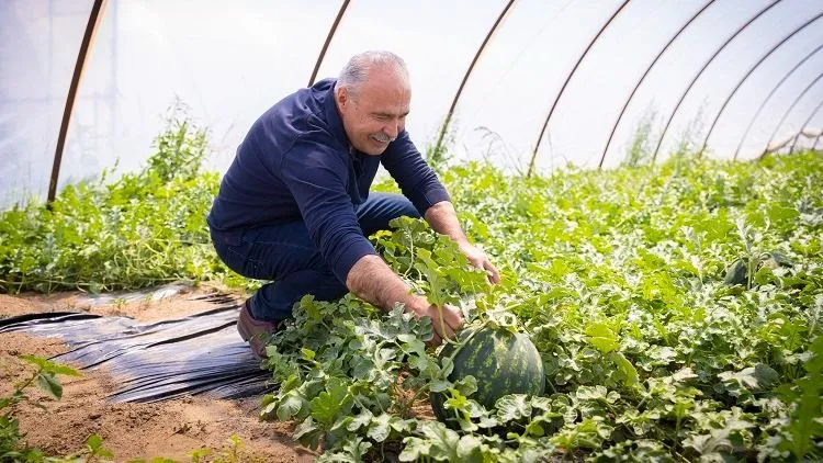 Nagy István a magyar dinnye fogyasztására biztatott