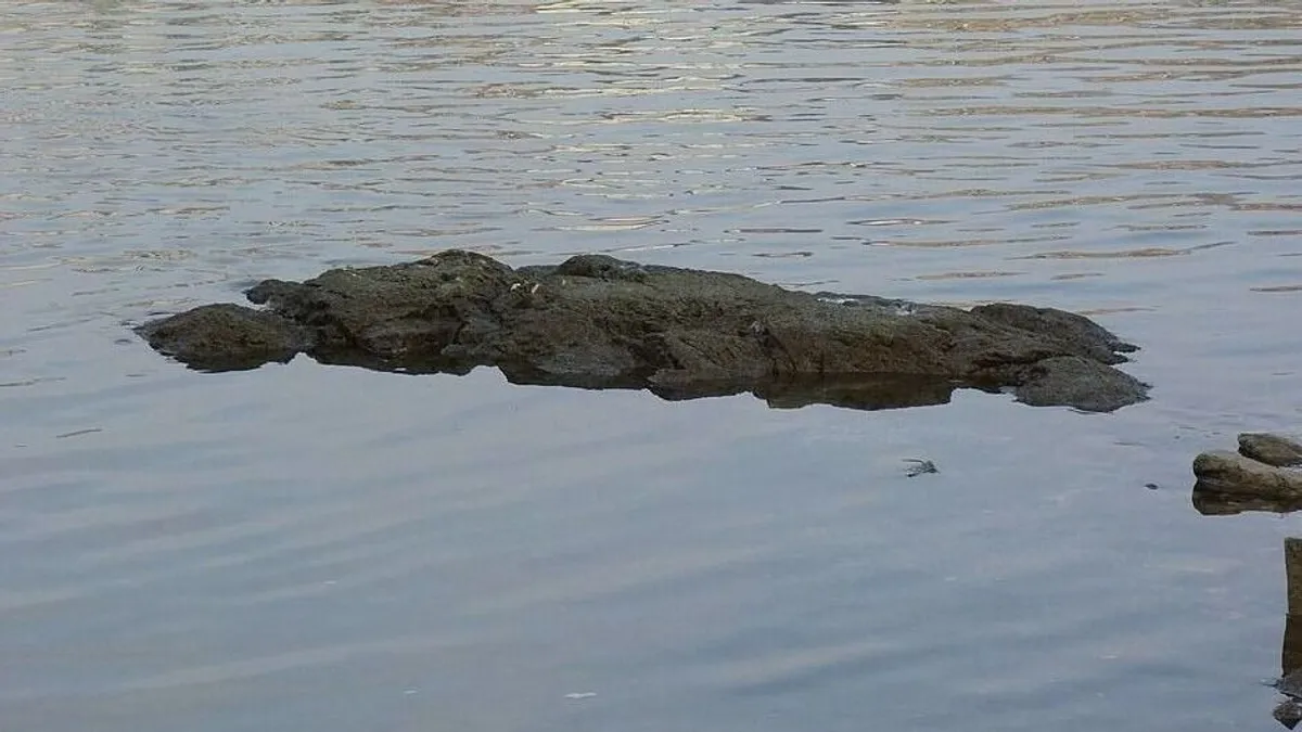 Negatív rekordot döntött a Duna vízállása