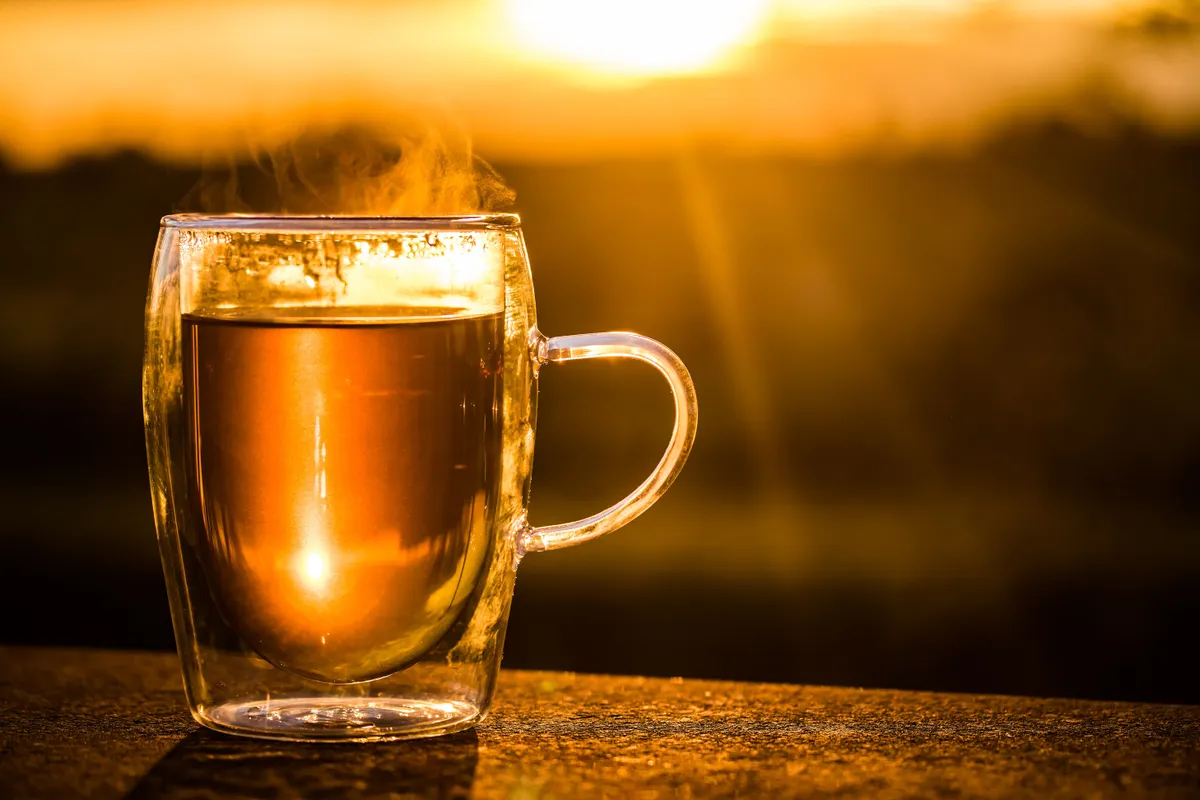 tea, teáscsésze, bögre, GVH