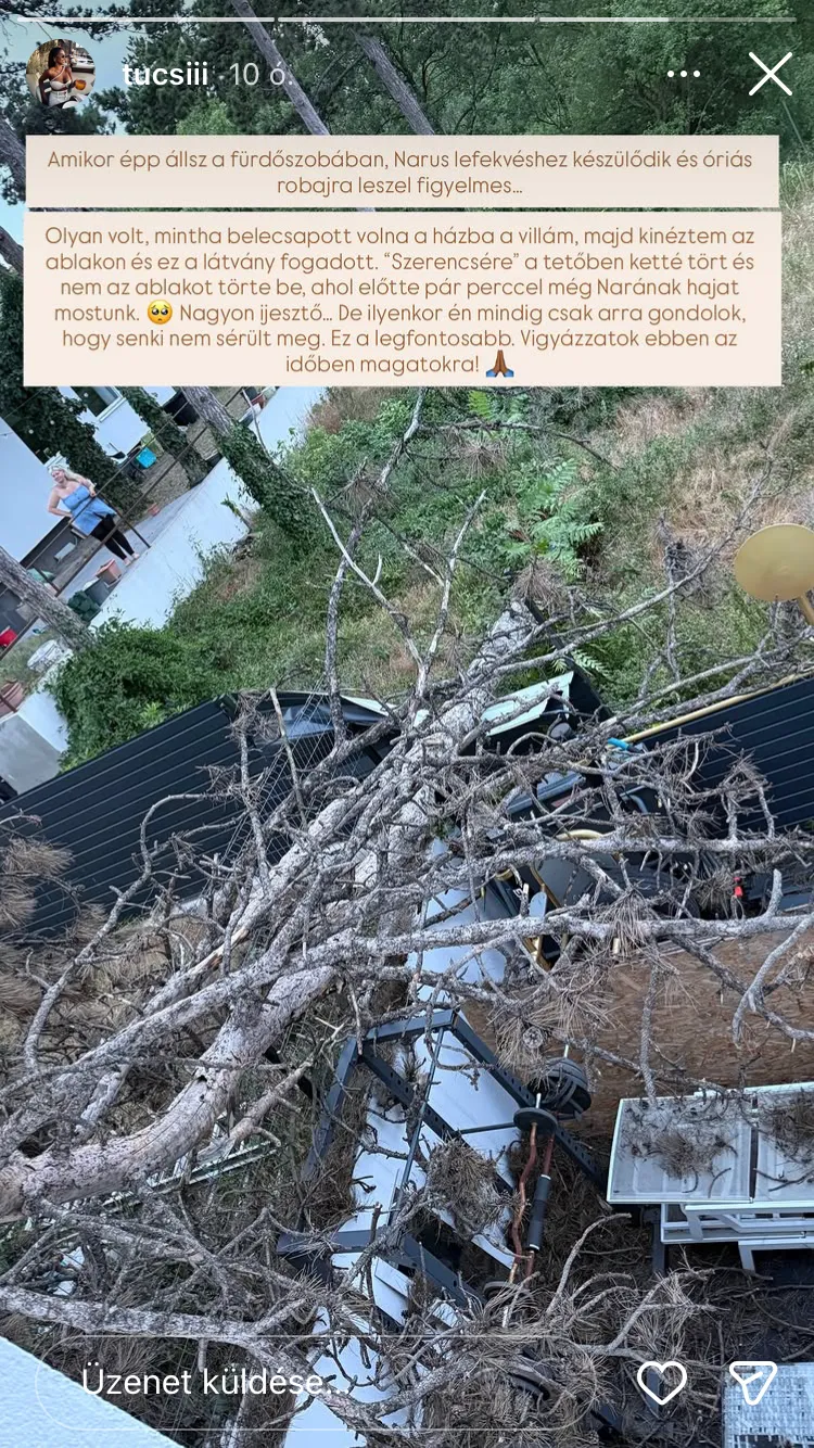 Tücsi házára rádőlt egy óriási fa