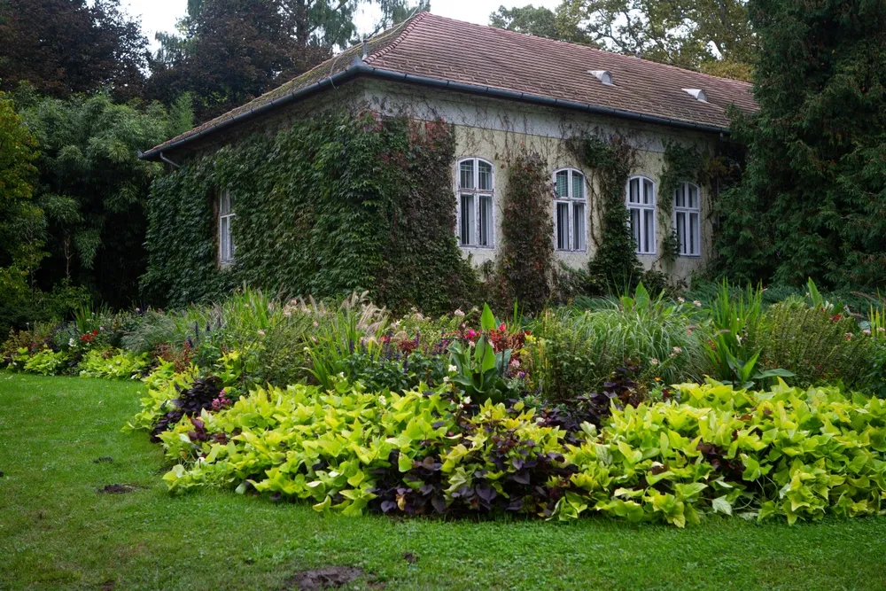 Vácrátóti arborétum