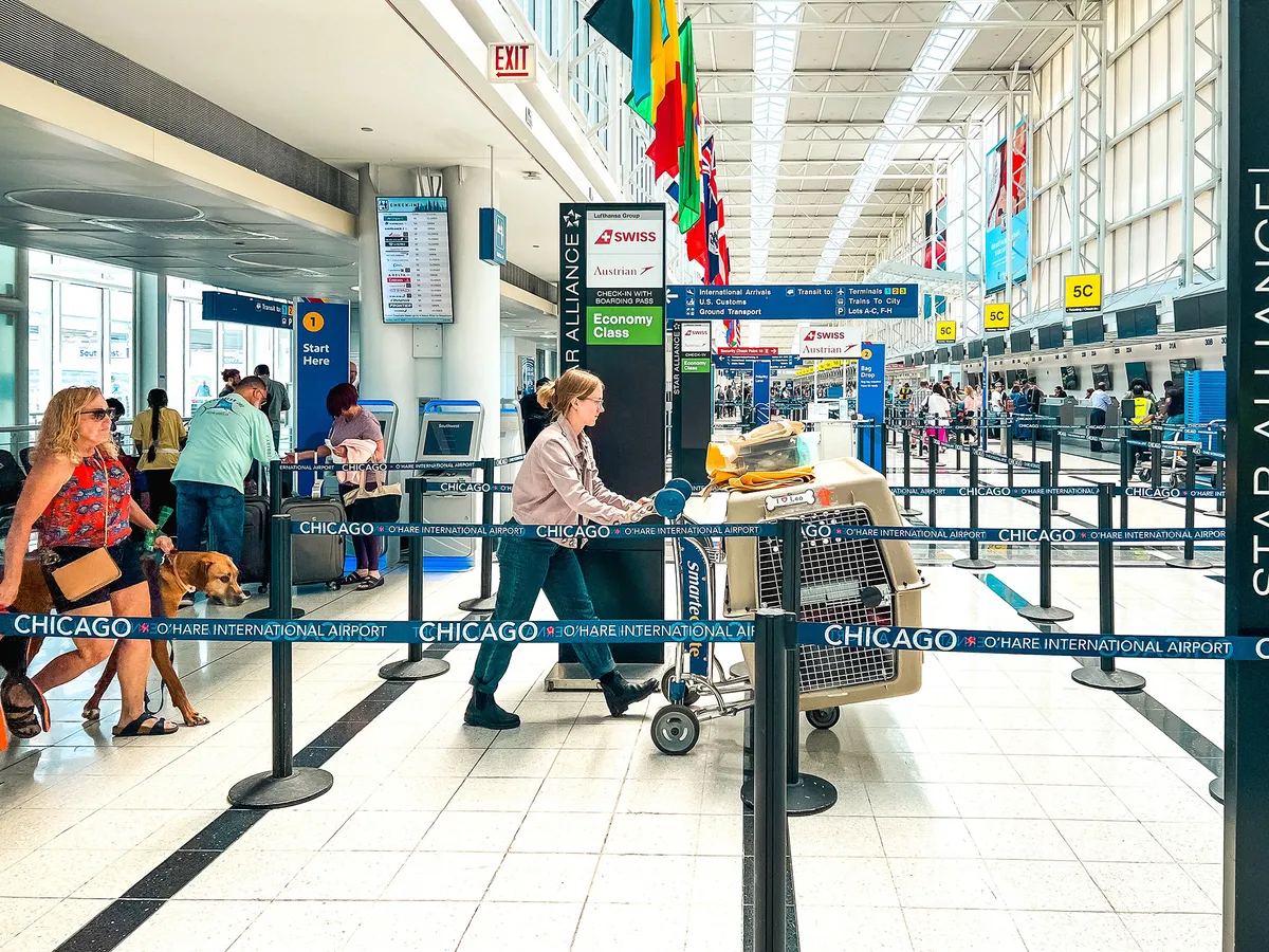 Új utastérben utazó háziállatok szállítását végzi egy nő a repülőtéren
