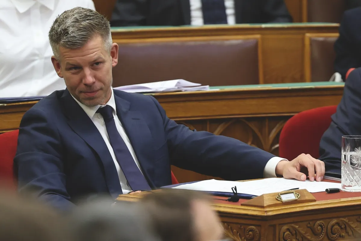 Dornfeld László szerint Magyar Péternek lojális köztársasági elnök-jelölt kell (Fotó: Havran Zoltán)