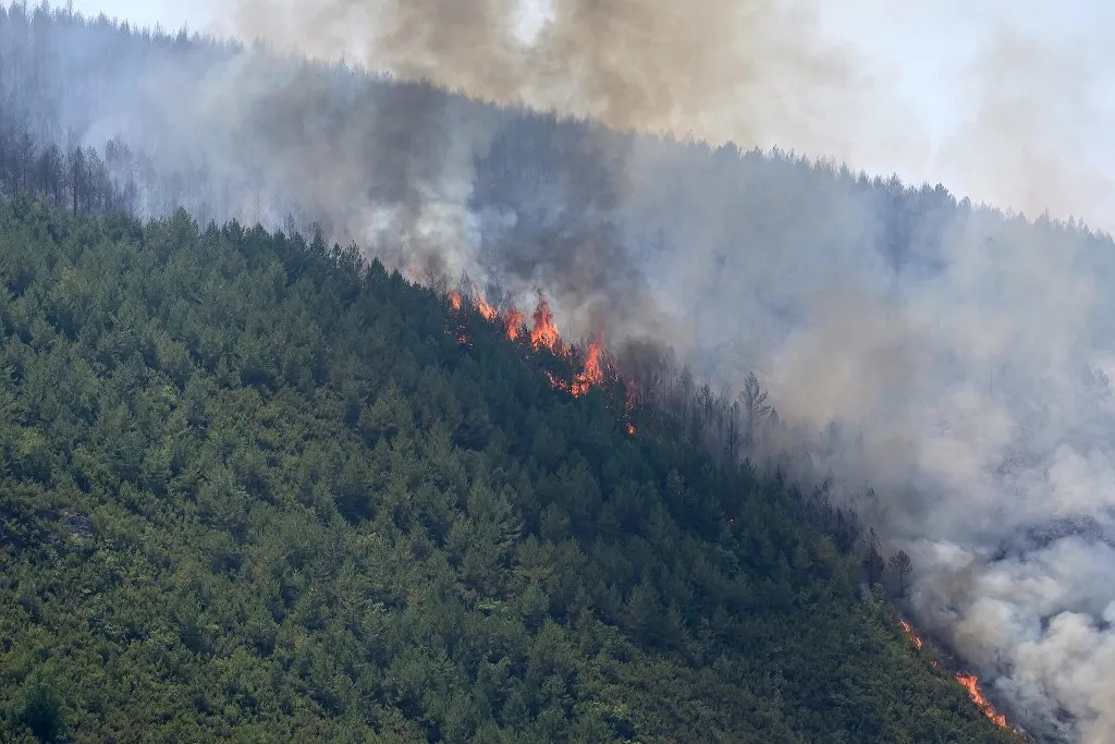 LEON, SPAIN - JULY 08: Flames and smoke rise from a wildfire that broke out the previous day in Espina de Tremor, reached level 1 on the Potential Severity Index (IGR-1) and threatened more than 30 hectares of pine forest in Leon, Spain, on July 8, 2026. Samuel de Roman / Anadolu (Photo by Samuel de Roman / Anadolu via AFP), spanyolországi erdőtűz