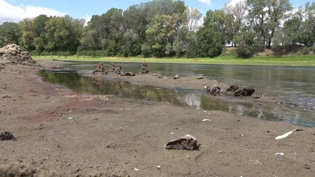 tisza, alacsony vízállás, 2026.07.30. őstulok csontok, maradványok