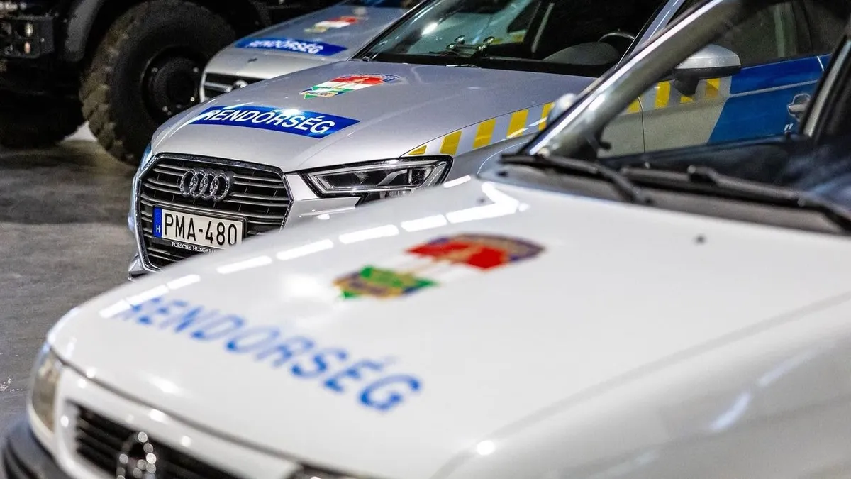 Letartóztatása közben megharapott egy rendőrt az autórongáló