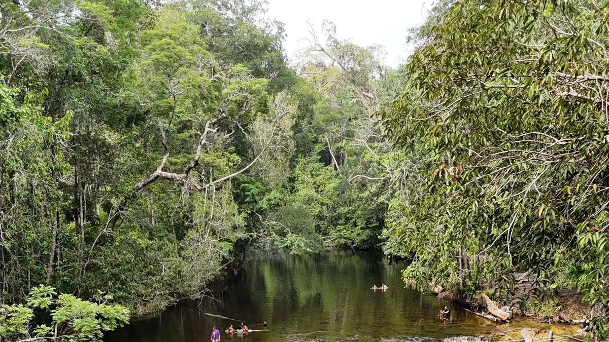 Amazonas mentén kutatók egy elfeledett ősi civilizáció nyomaira bukkantak. Dzsungelben több millió ember élhetett, kereskedelemmel és földműveléssel foglalkoztak