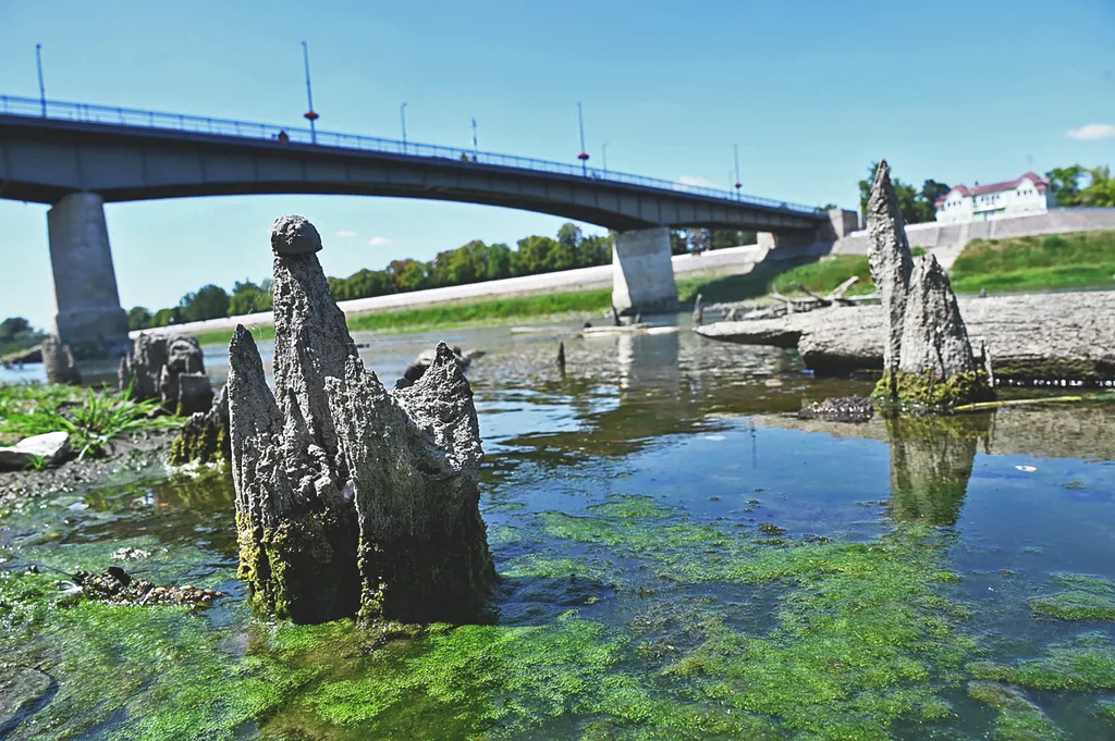 20260729 Szolnok A negatív csúcson álló Tiszából jól látszanak a régi török kori fahíd maradványai. Fotó: Mészáros János Új Néplap
