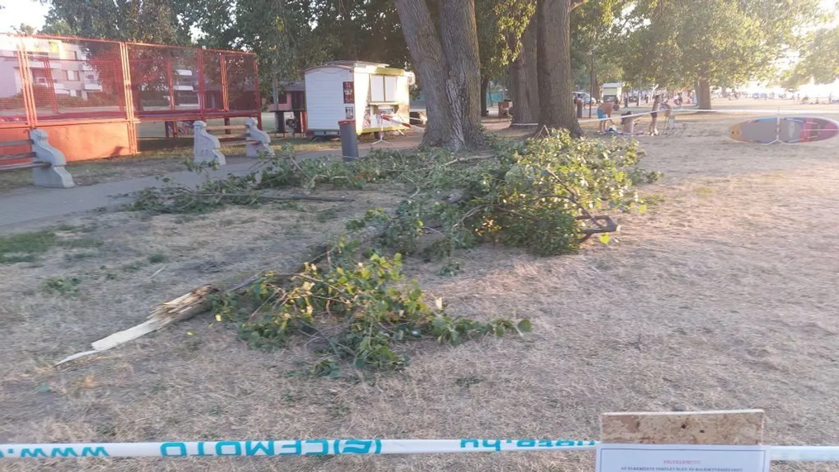 Korhadt faág temetett maga alá egy nőt a balatonlellei strandon