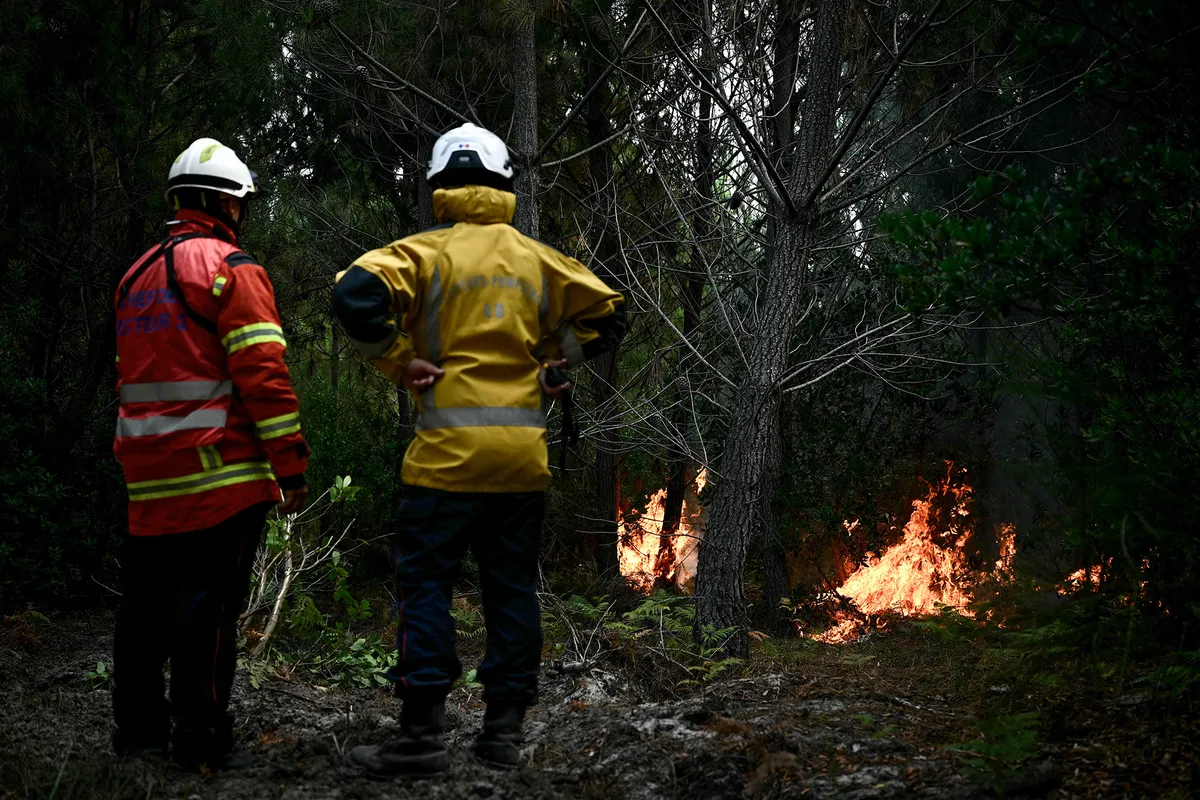 Firefighter survey the scene during controlled fire operation in a forest in Le Porge, north of the Arcachon Basin, on July 30, 2026, during wildfires in the Gironde region, southwestern France. In France, the Gironde region reported a second calm night and said the massive fire west of France's wine-making capital of Bordeaux remained stable despite a spike in temperatures on July 29 as the fourth heatwave of the summer roasted the area. (Photo by Philippe Lopez / AFP)