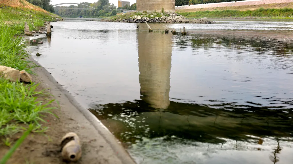 Szolnok, Tisza, török kori fahíd cölöpök, török kori fahíd cölöp, törökkorifahíd, SzolnokTisza, 2026.08.07.,