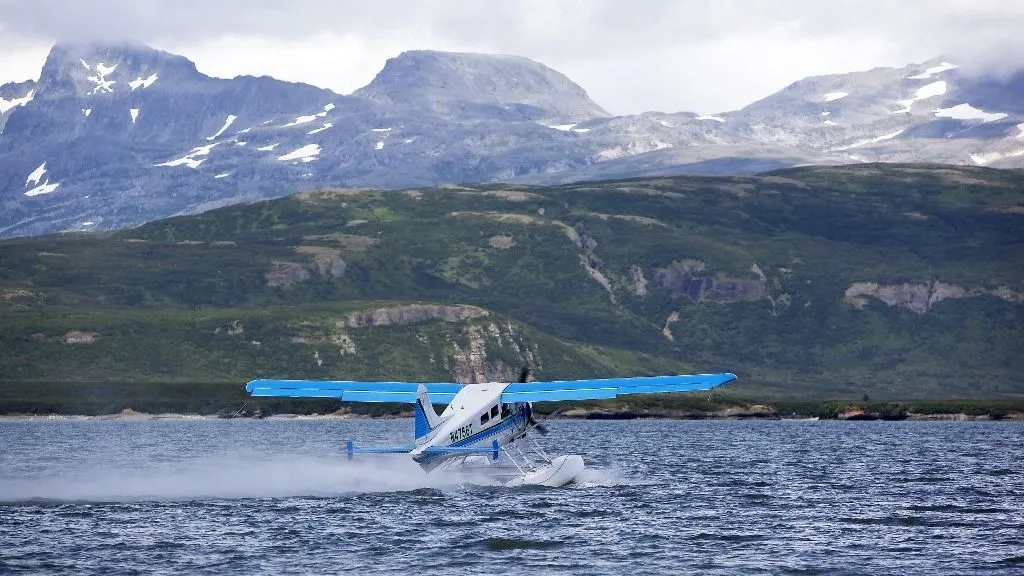 repülőgép, United States, Alaska, Katmai National Park and Preserve, McNeil River Bear Viewing and Wildlife Sanctuary, sea plain (Photo by CORDIER Sylvain / hemis.fr / Hemis via AFP)