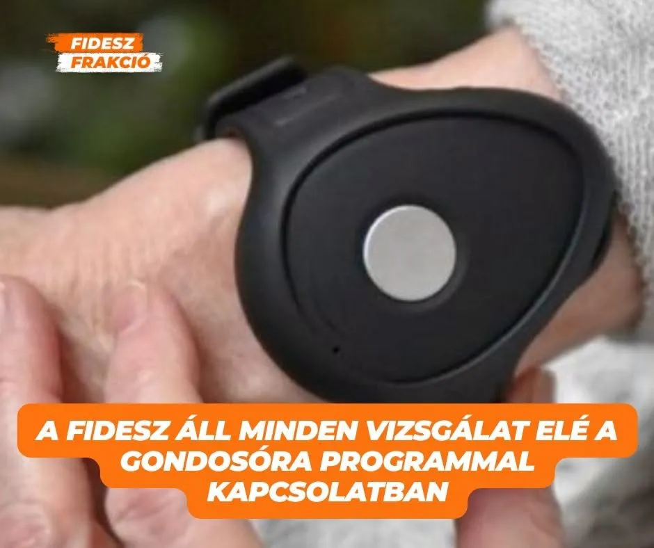 Gondosóra
