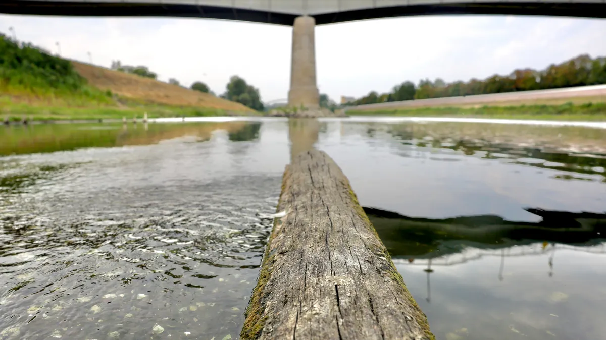 tisza