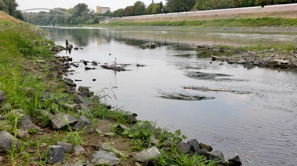 Szolnok, Tisza, török kori fahíd cölöpök, török kori fahíd cölöp, törökkorifahíd, SzolnokTisza, 2026.08.07.,