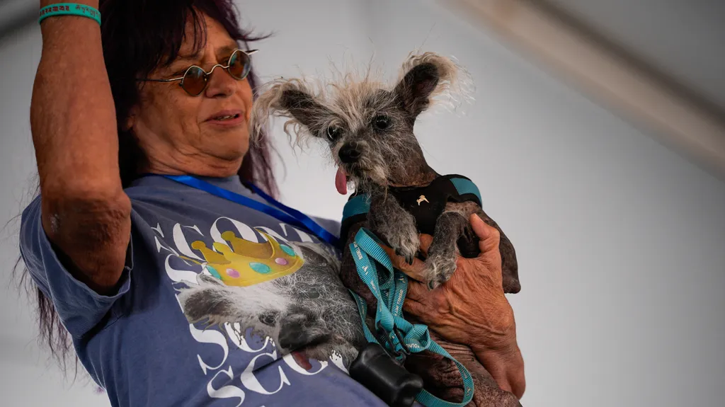 World's Ugliest Dog' contest 2026 in California