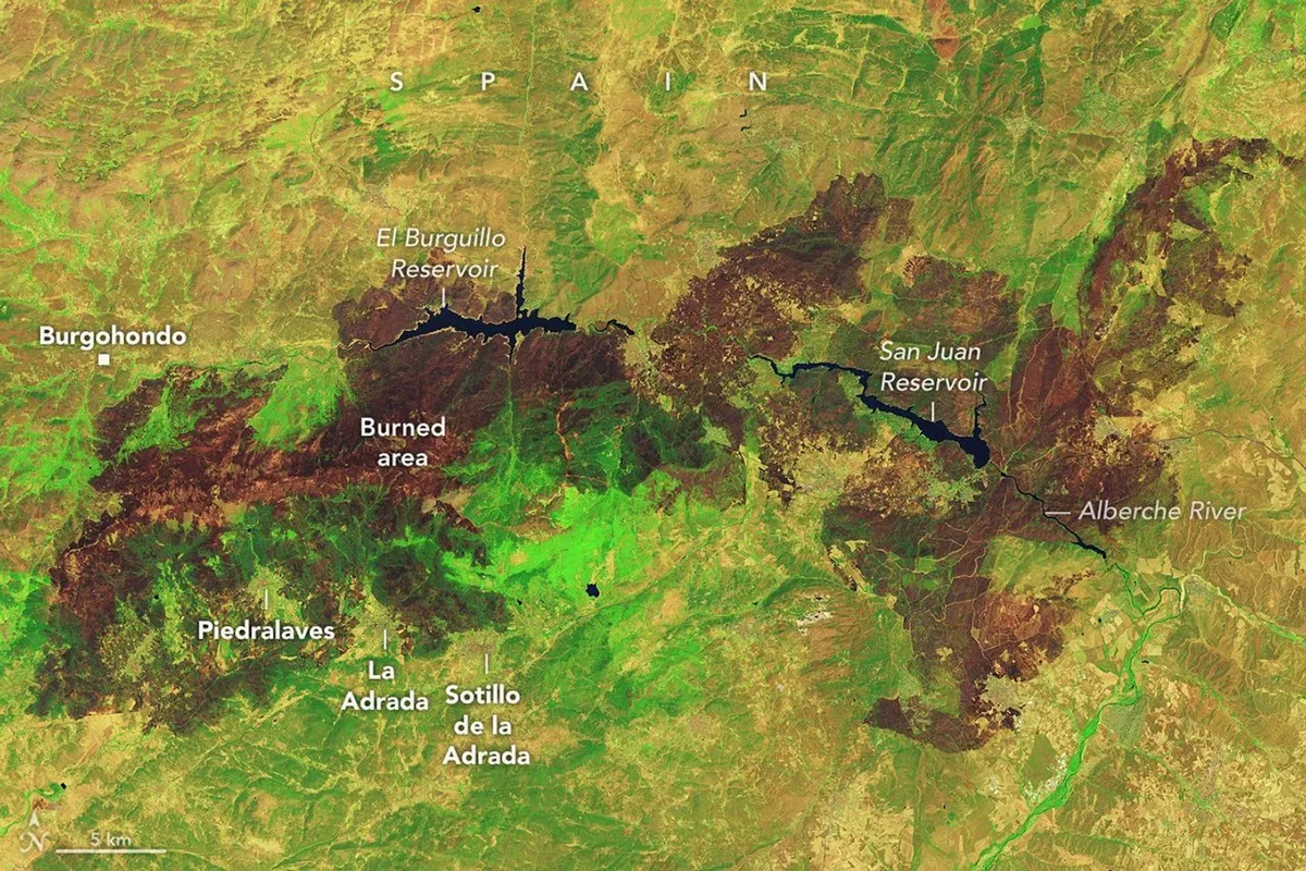 A Landsat–9 2026. július 29-i hamisszínes felvételén barnán rajzolódnak ki a közép-spanyolországi víztározók körül pusztító erdőtüzek nyomai. A tűz által nem érintett növényzet zöld színben látható.