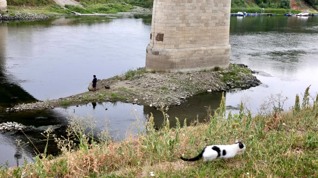 Szolnok, Tisza, török kori fahíd cölöpök, török kori fahíd cölöp, törökkorifahíd, SzolnokTisza, 2026.08.07.,