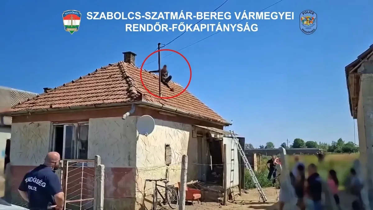 Tetőre menekült a rendőrök elől a baktalórántházi tolvaj – videó