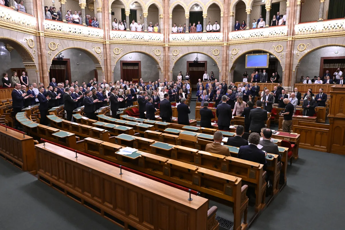 A Pink Túzok Kft. közel 10 millió forintot kapott a munkáért