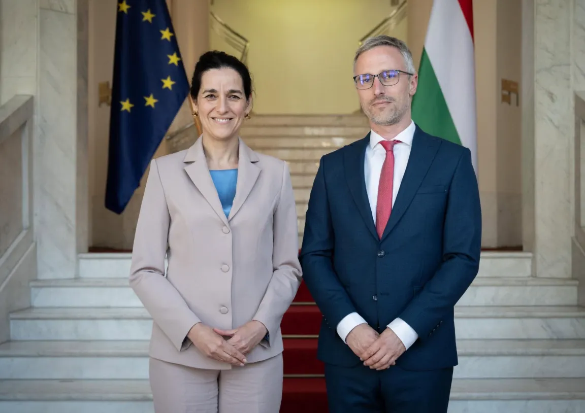 Feledy Botond vezetheti a Magyar Külügyi Intézetet